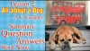 class 9 english all about a dog question answer