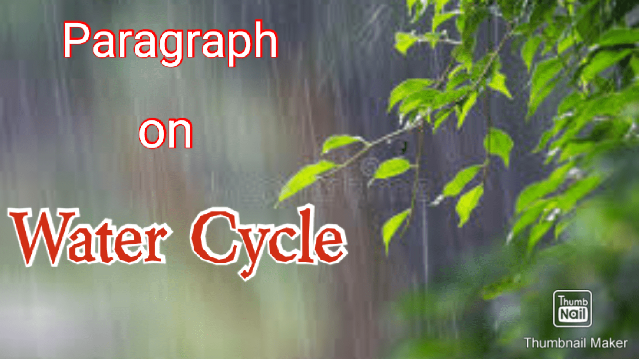 essay on water cycle in 100 words